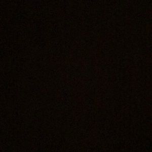 Meet your Posher, Ella